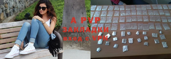 ешки Белокуриха
