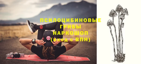 метадон Армянск