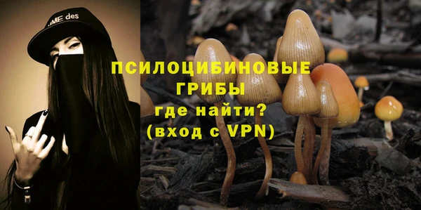 метадон Армянск