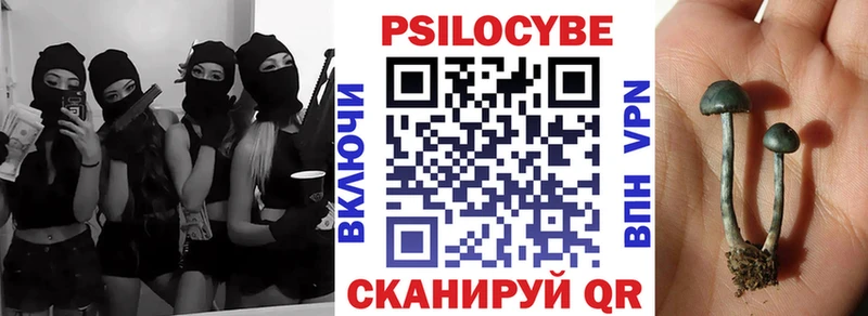 Псилоцибиновые грибы Psilocybine cubensis что такое наркотик Карталы